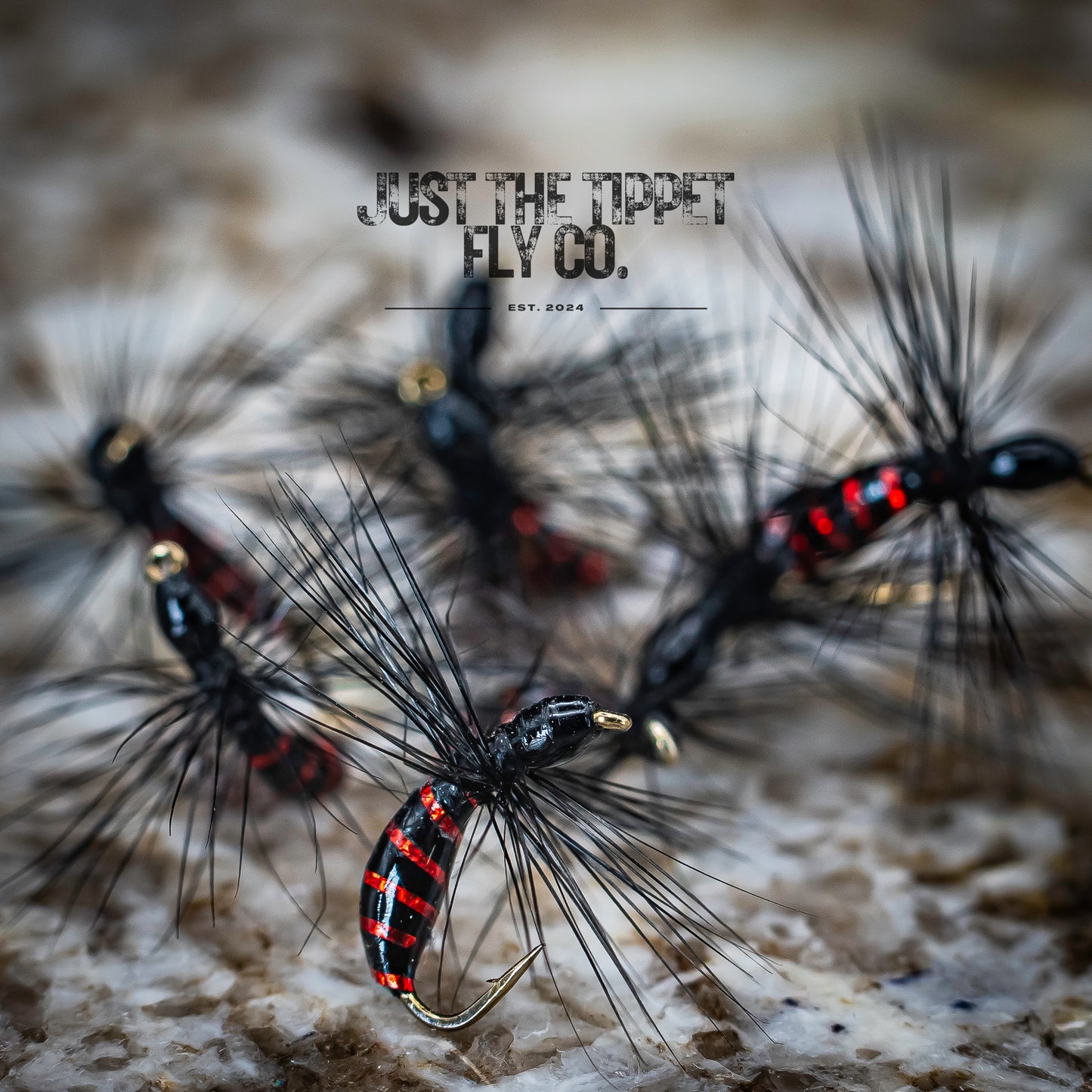 Red Dawn - Sunken Ant
