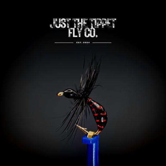 Red Dawn - Sunken Ant