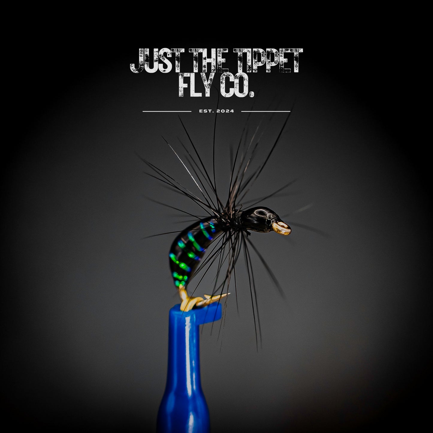 Black Pearl Sunken Ant