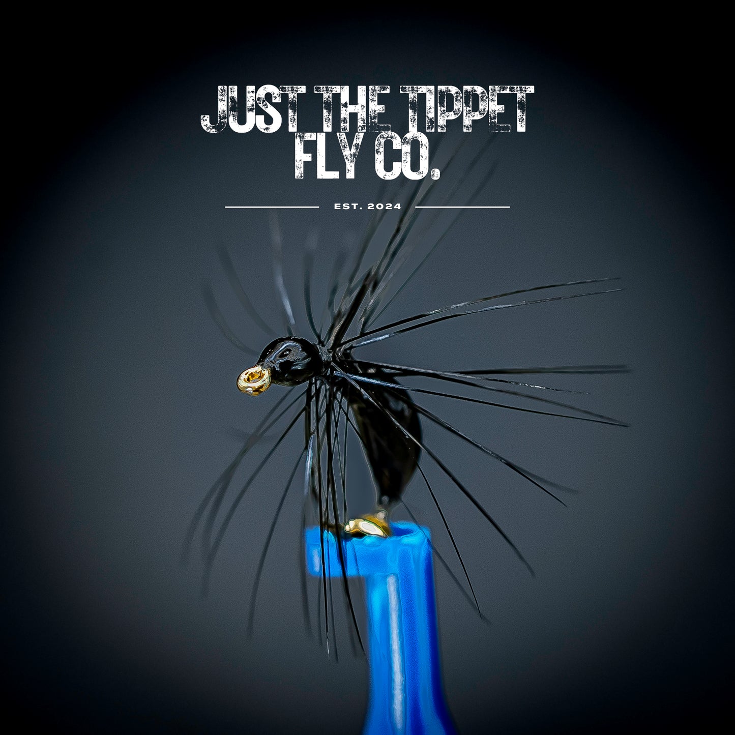 Black Sunken Ant