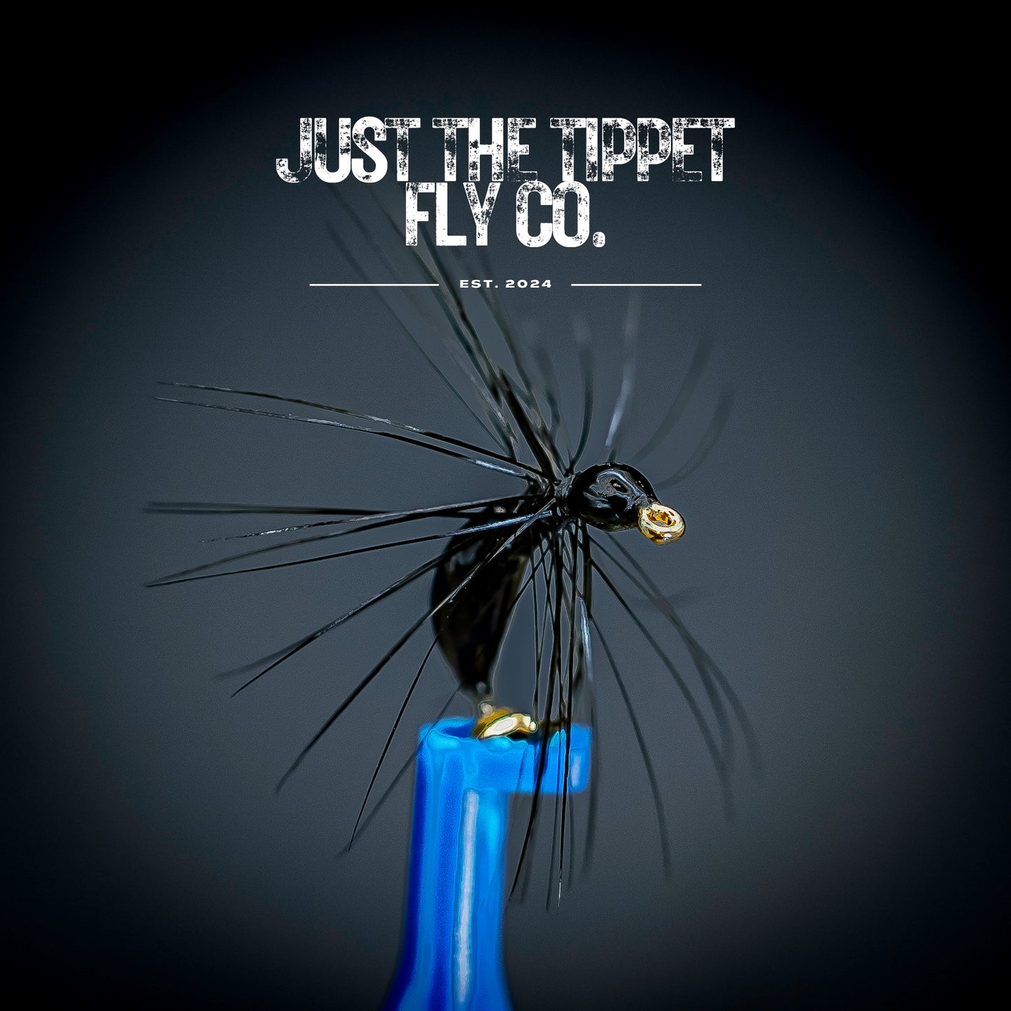 Black Sunken Ant