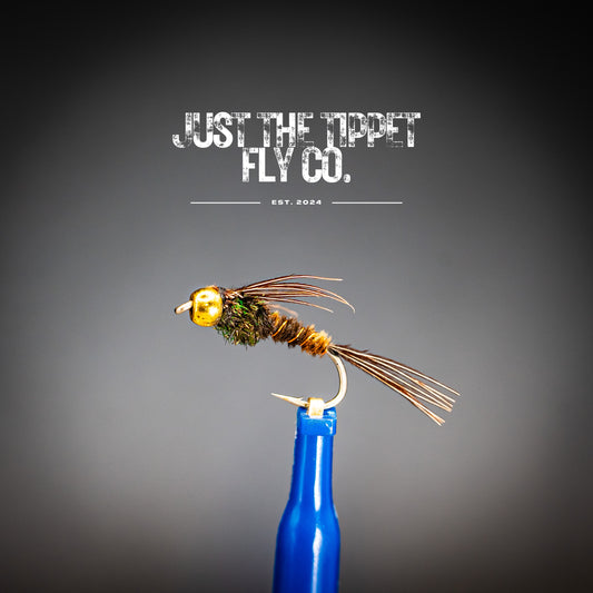 Pheasant Tail Nymph
