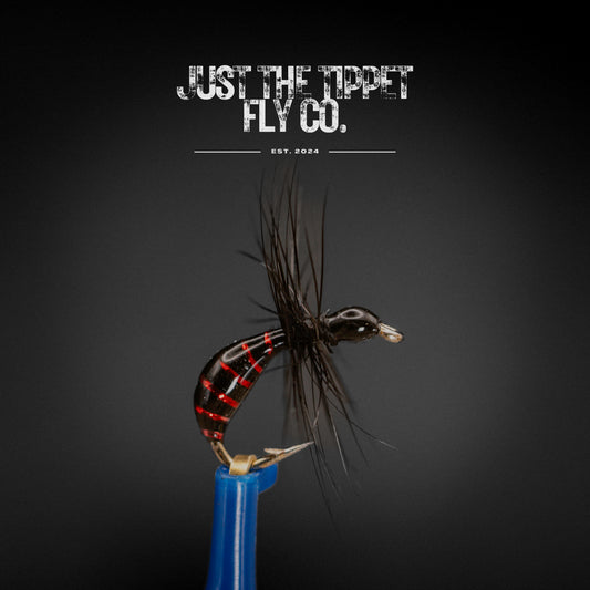 Red Dawn - Sunken Ant