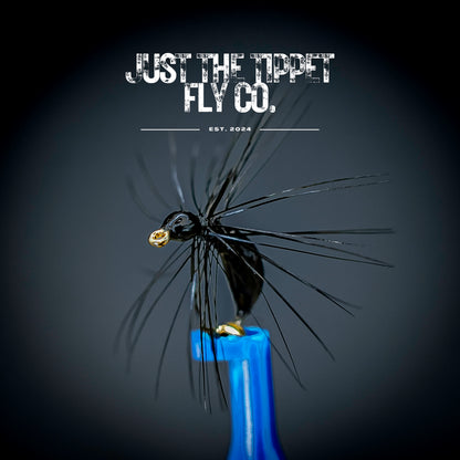 Black Sunken Ant