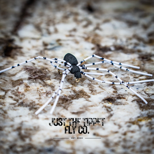 Black Spider