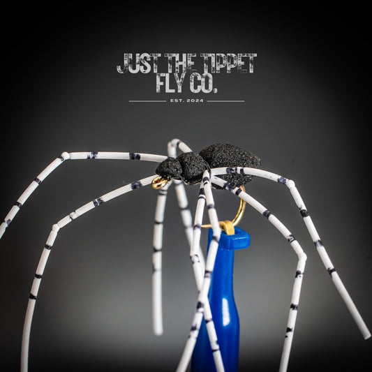 Black Spider