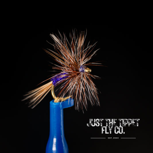 Quilled Purple Haze