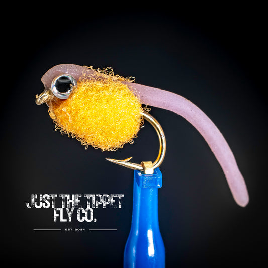 Squirmy Alevin